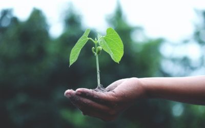 Notre partenaire santé environnementale et développement durable HSEN